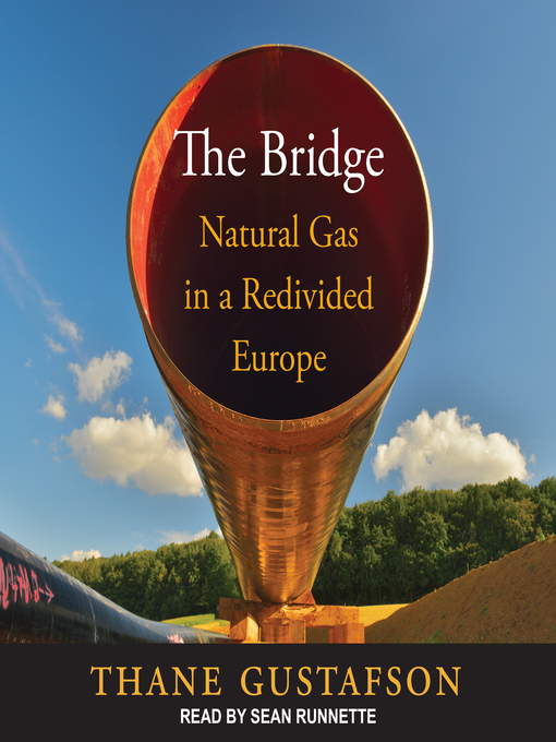 Cover image for The Bridge
